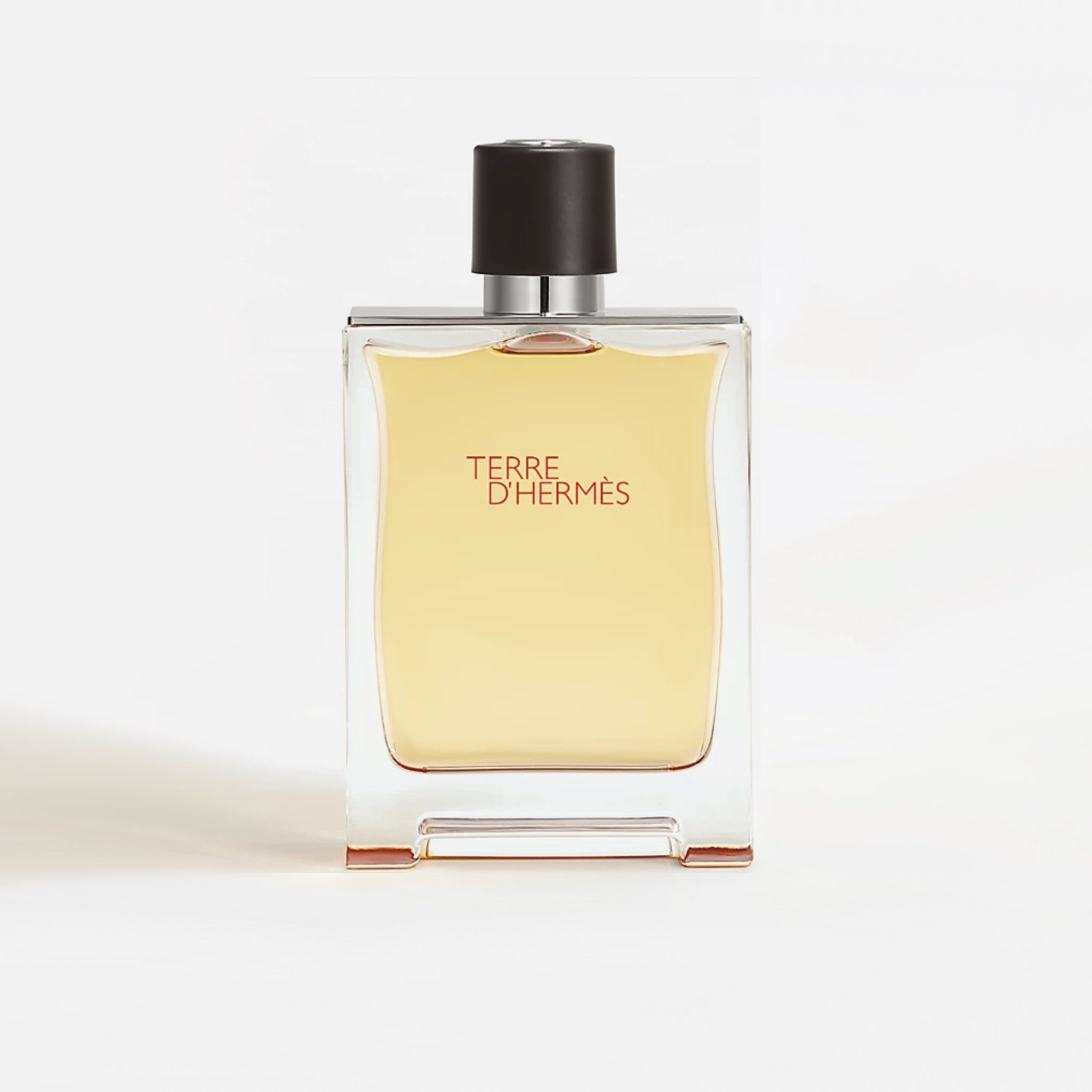 Hermès Terre d'Hermès Men's Parfum - 200ml – bottle